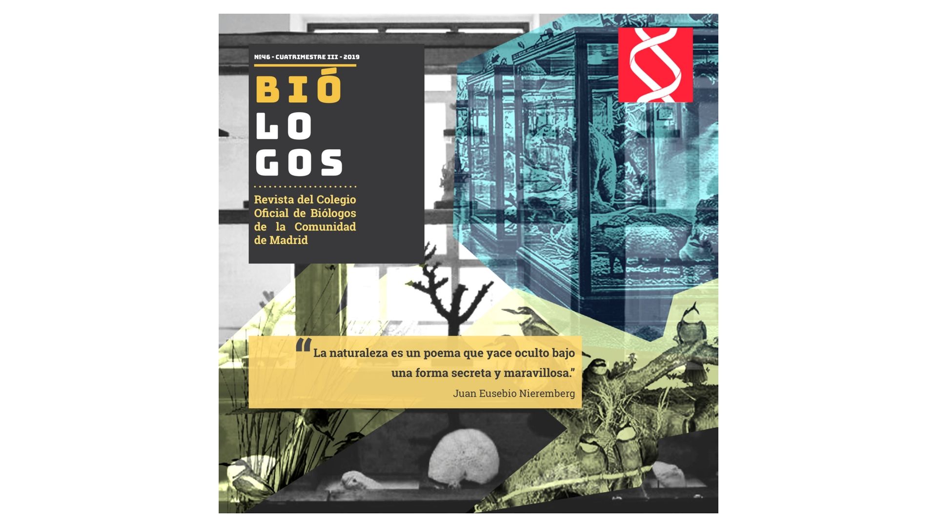 Portada Revista Biólogos nº 46