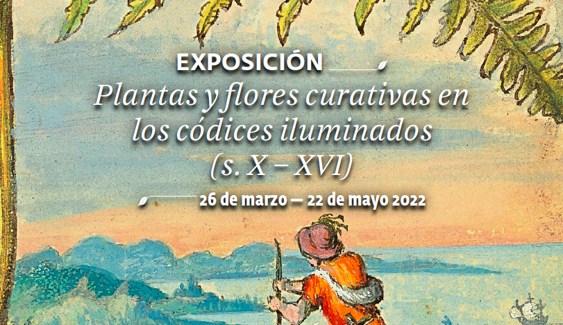 Plantas y flores curativas en los códices iluminados (s. X-XVI)