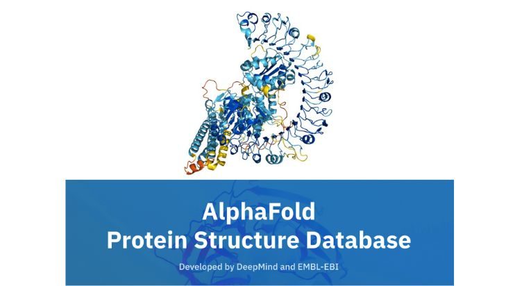 AlphaFold predice la estructura 200 millones de proteínas