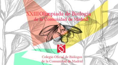 CONVOCADA LA XXIII OBCM