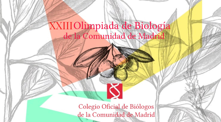 CONVOCADA LA XXIII OBCM