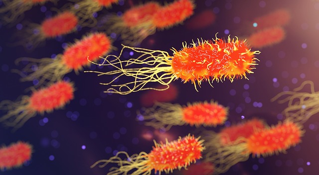Ilustración de células bacterianas de forma alargada, representantes del reino Monera.