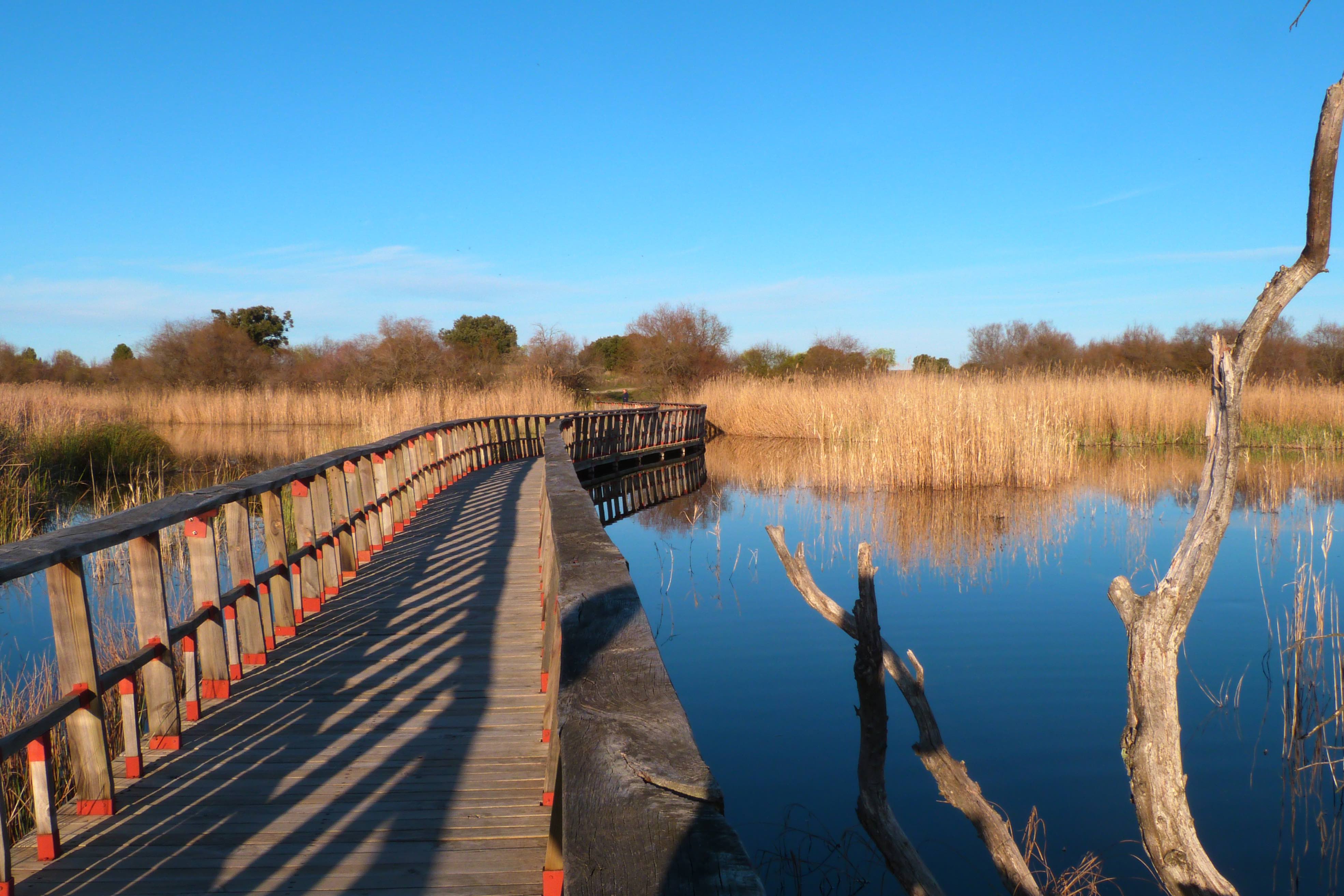 Tablas de Daimiel